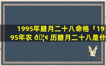 1995年腊月二十八命格「1995年农 🦢 历腊月二十八是什么星座」